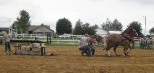 2011 horse pull