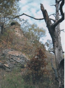 Decorah Mound east face 2009