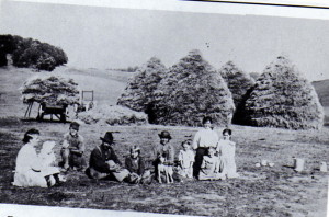 Halvor Evenson Family 1913.jpg